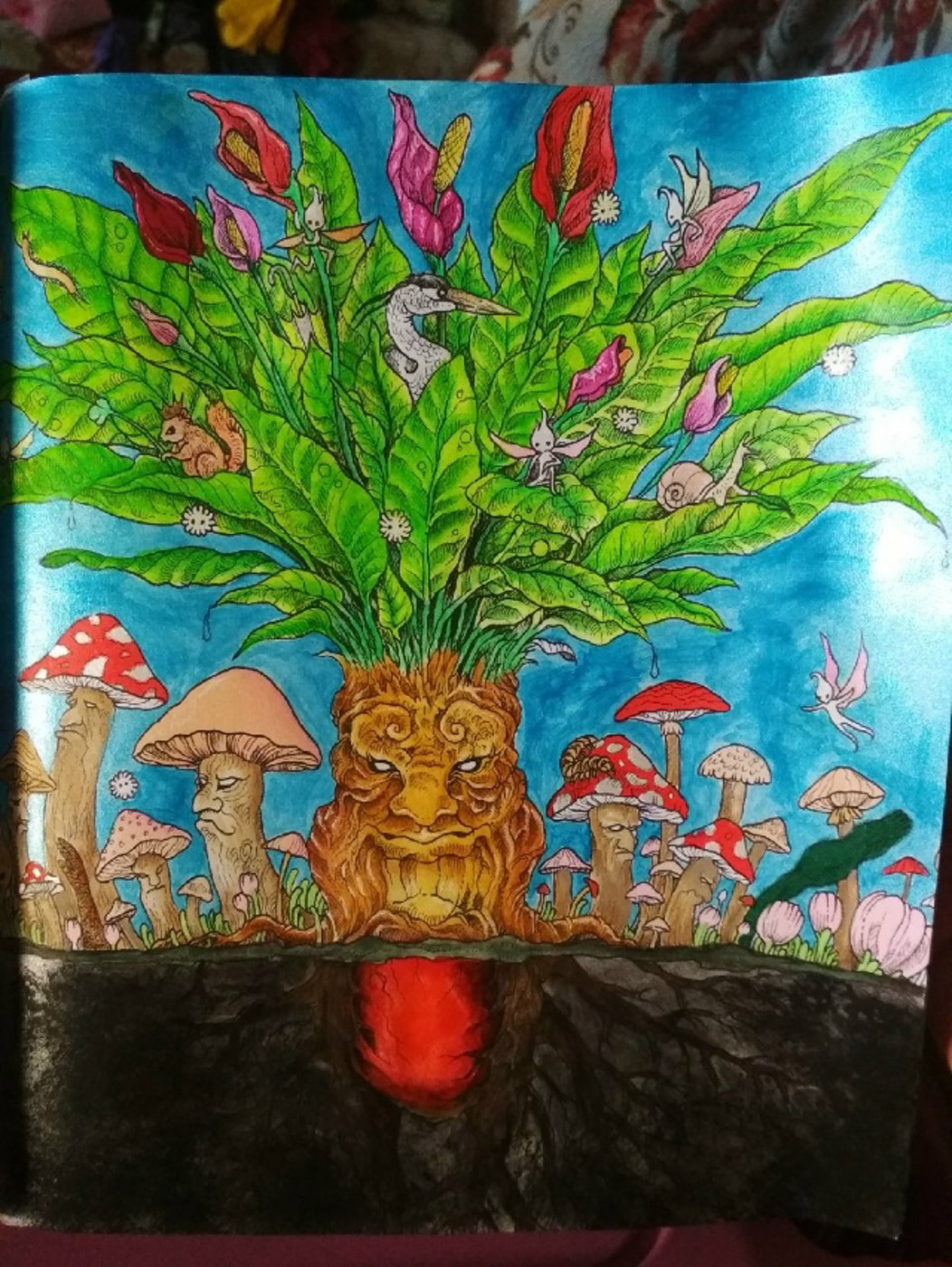 Мандрагора от VikaS