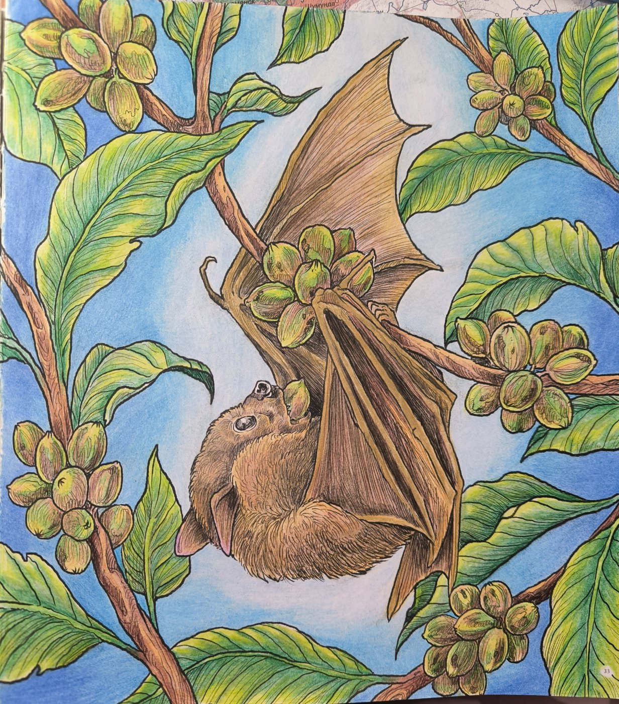 Летучая мышь от VikaS