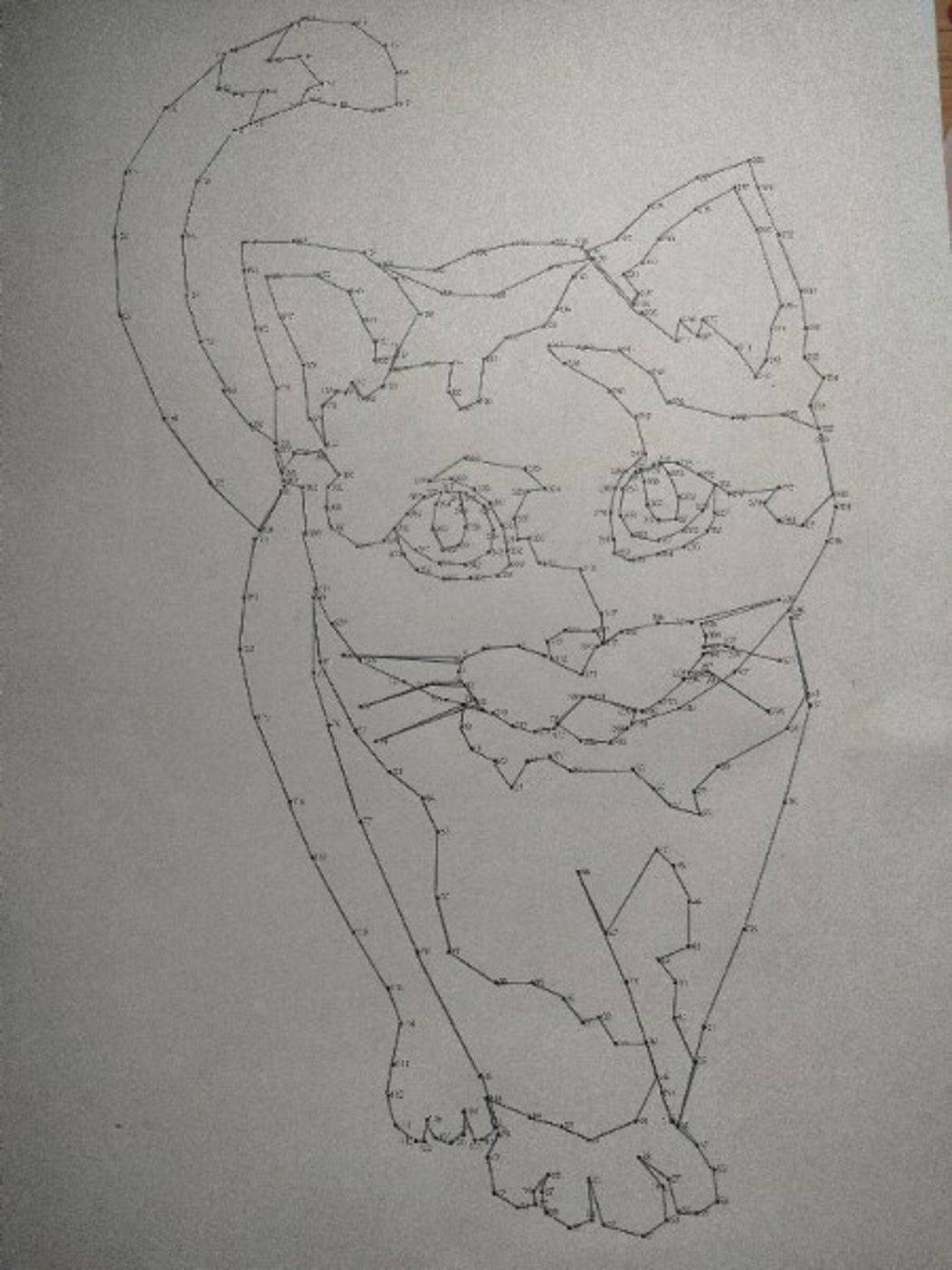 Кошачья походка от VikaS