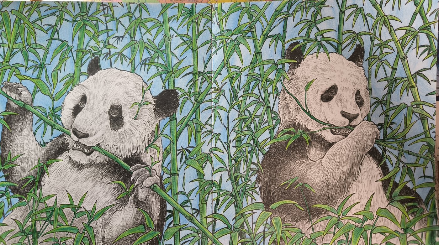 Панды от VikaS