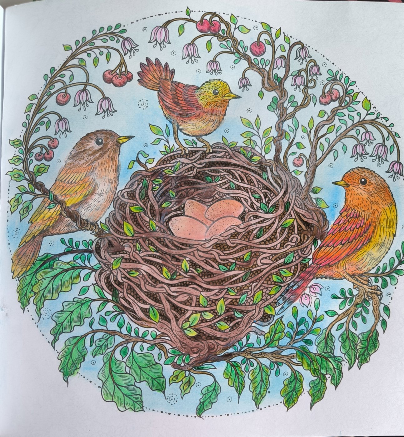 Гнездо и птички от VikaS