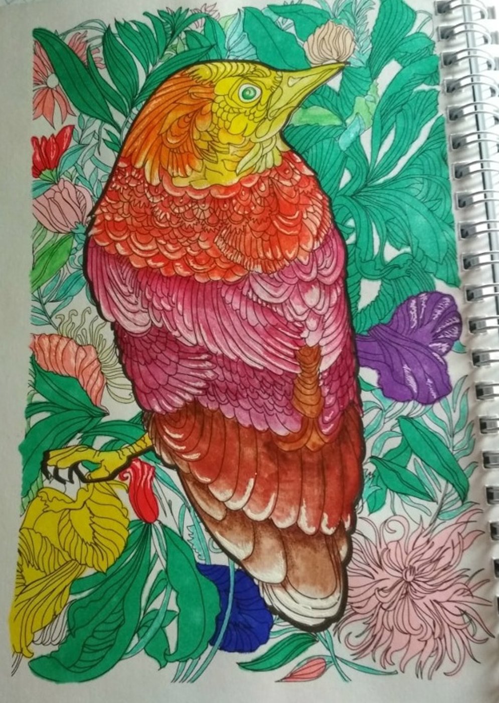 Птичка от VikaS