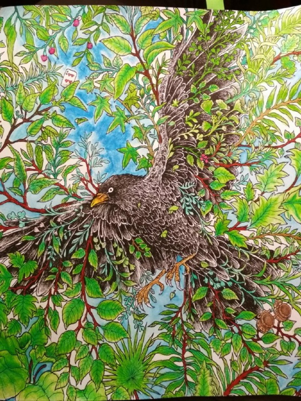 Черный ворон от VikaS