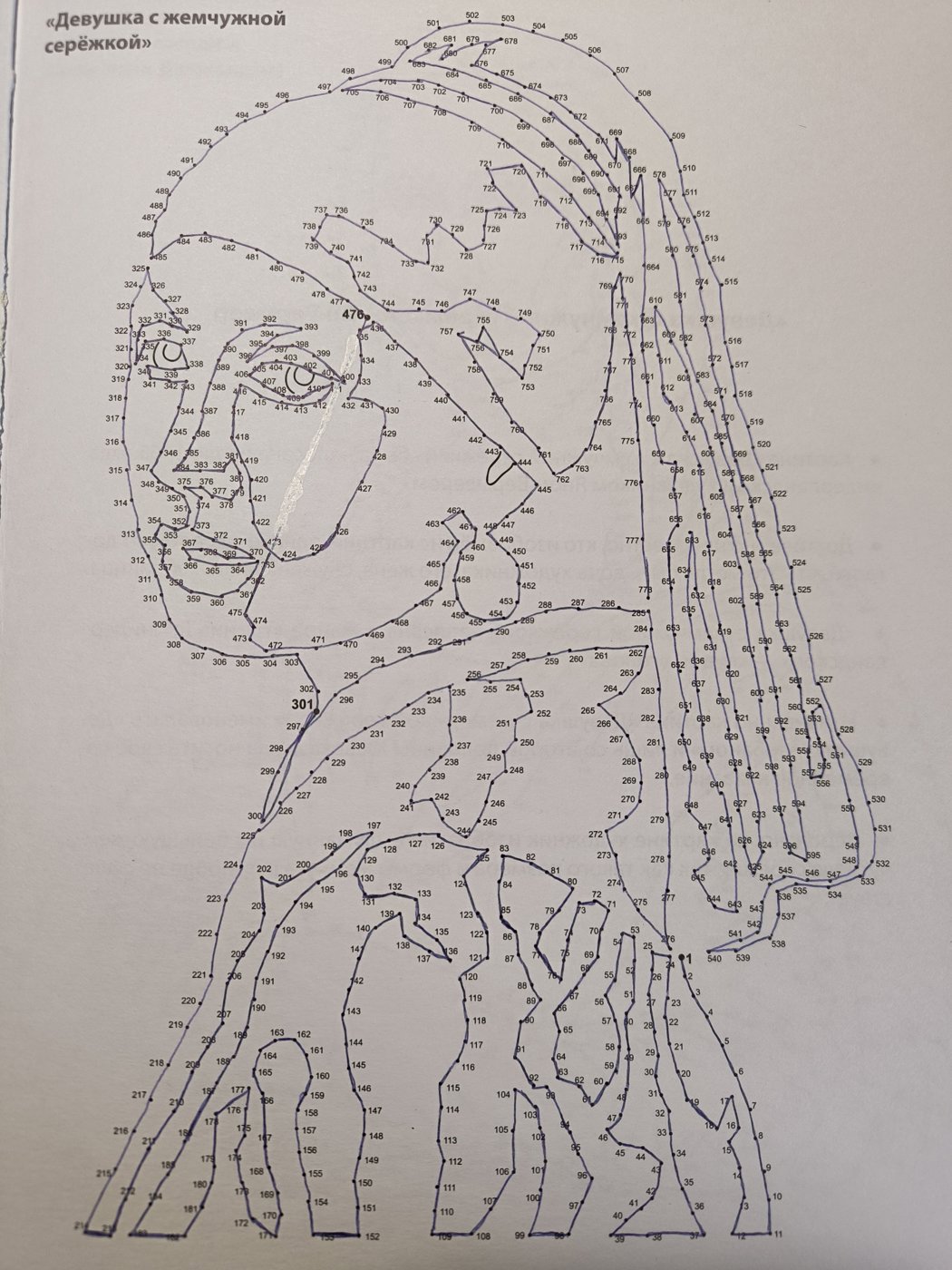 Девушка с жемчужиной серёжкой от VikaS