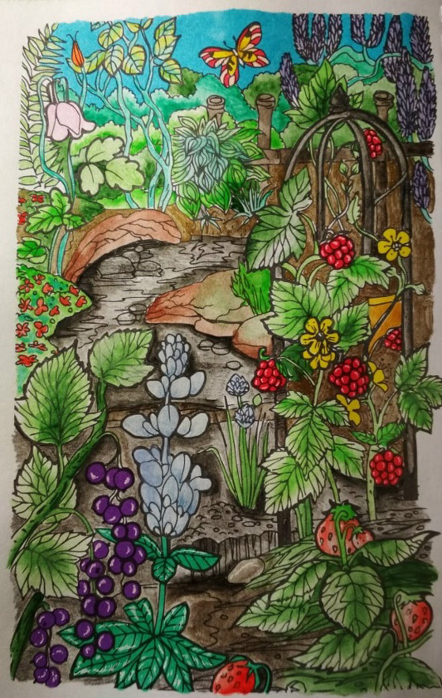 Огород от VikaS