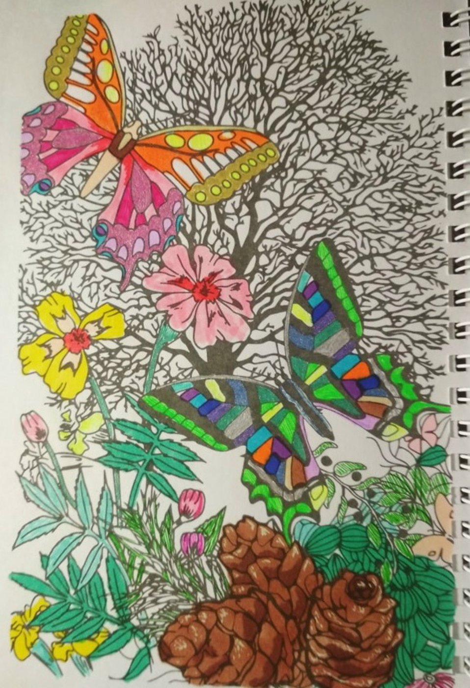 Бабочки от VikaS