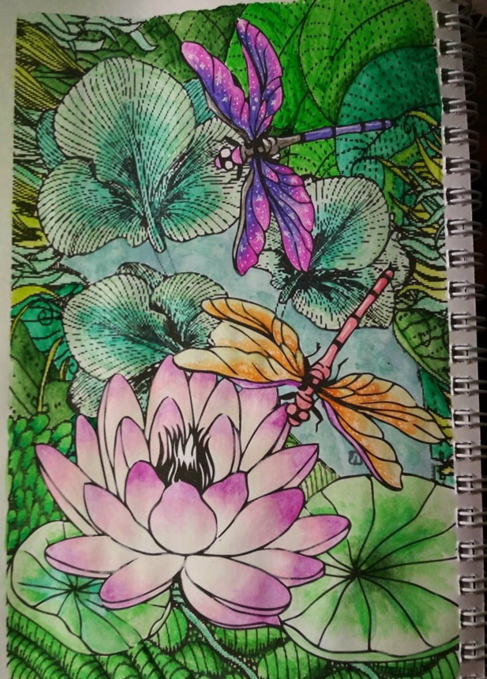 Стрекозы и лотос от VikaS