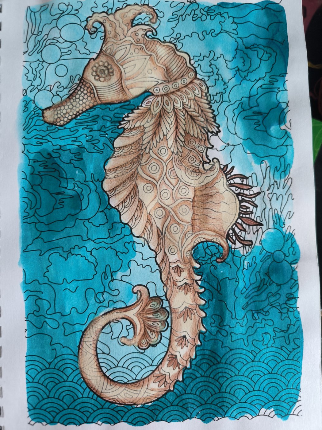 Морской конек от VikaS