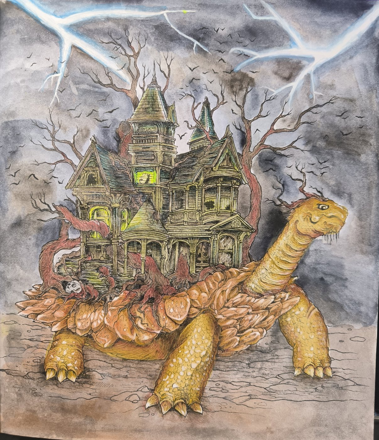 Черепашка с домиком от VikaS