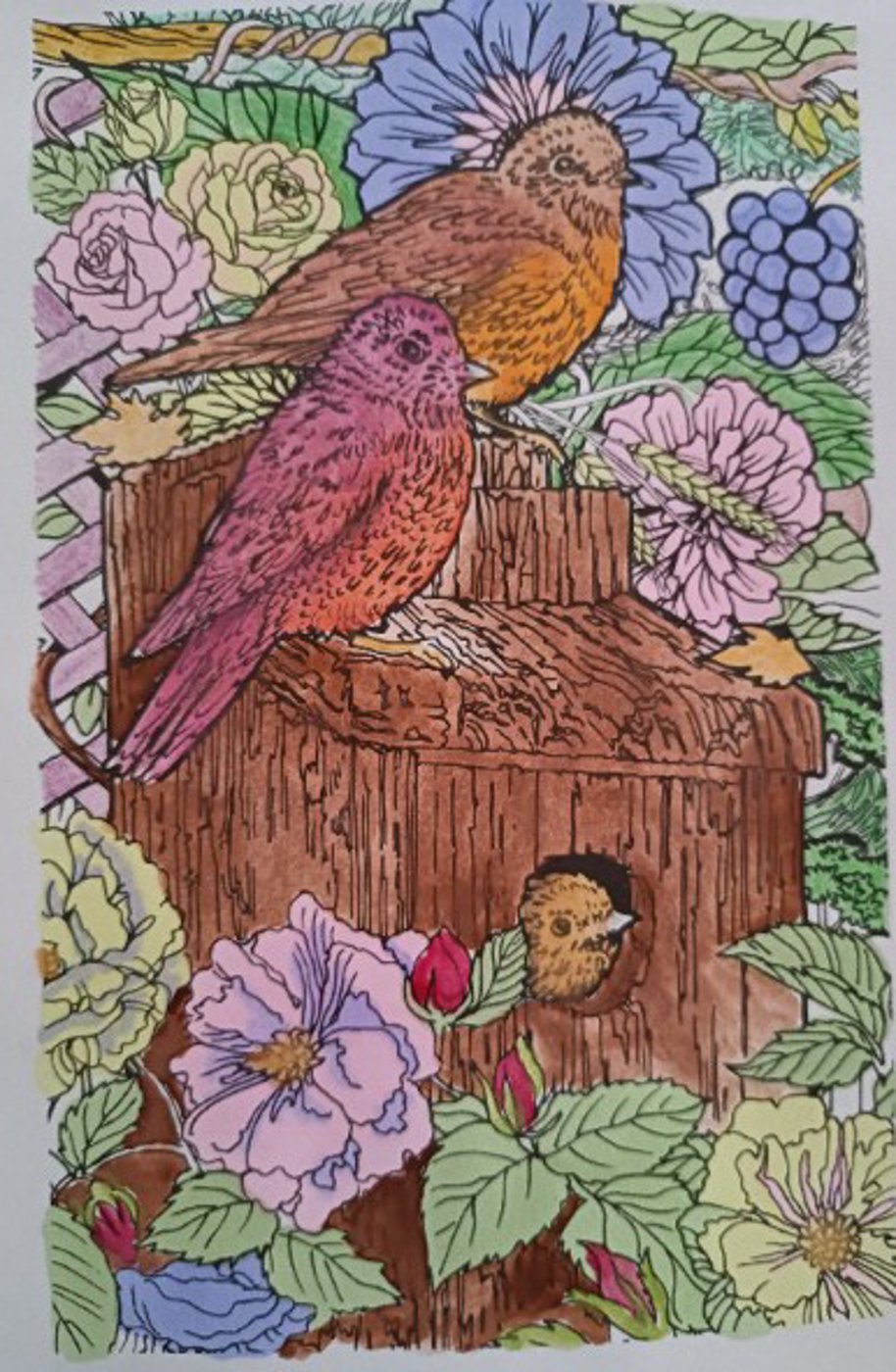 Семья птиц от VikaS