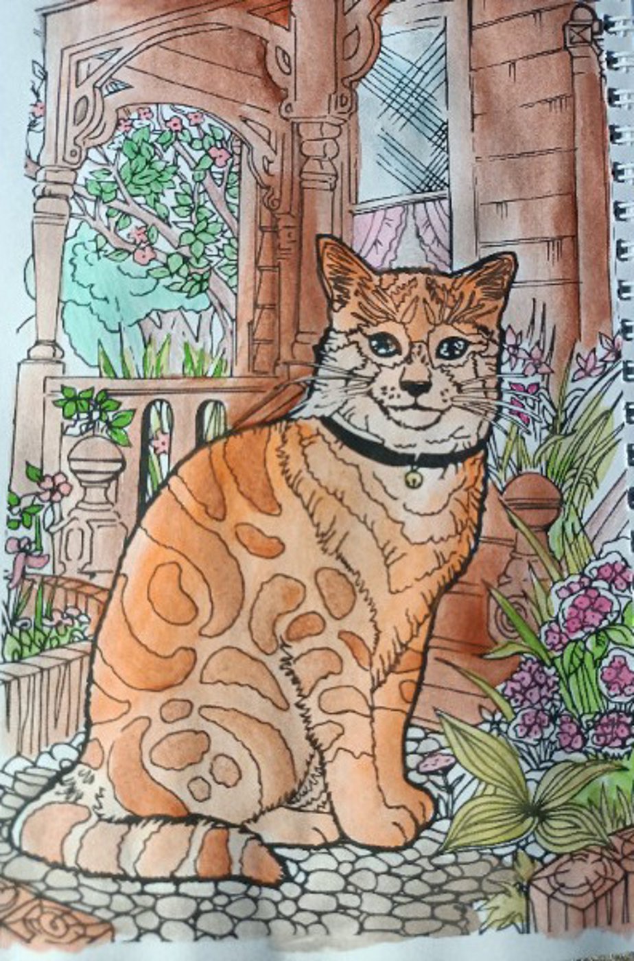 Рыжий кот от VikaS