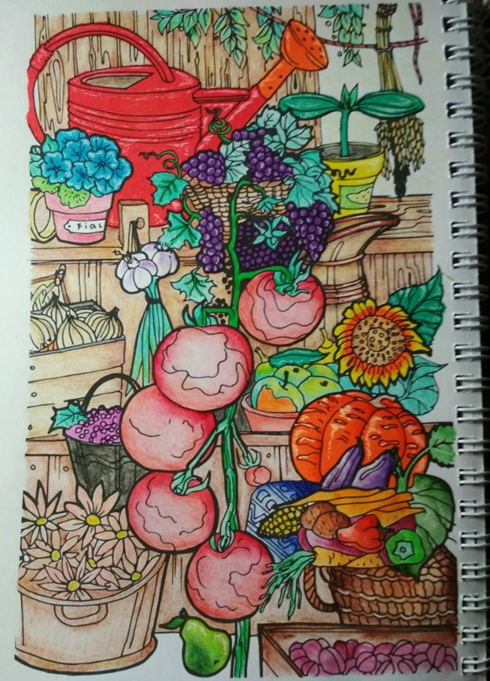 Огород от VikaS