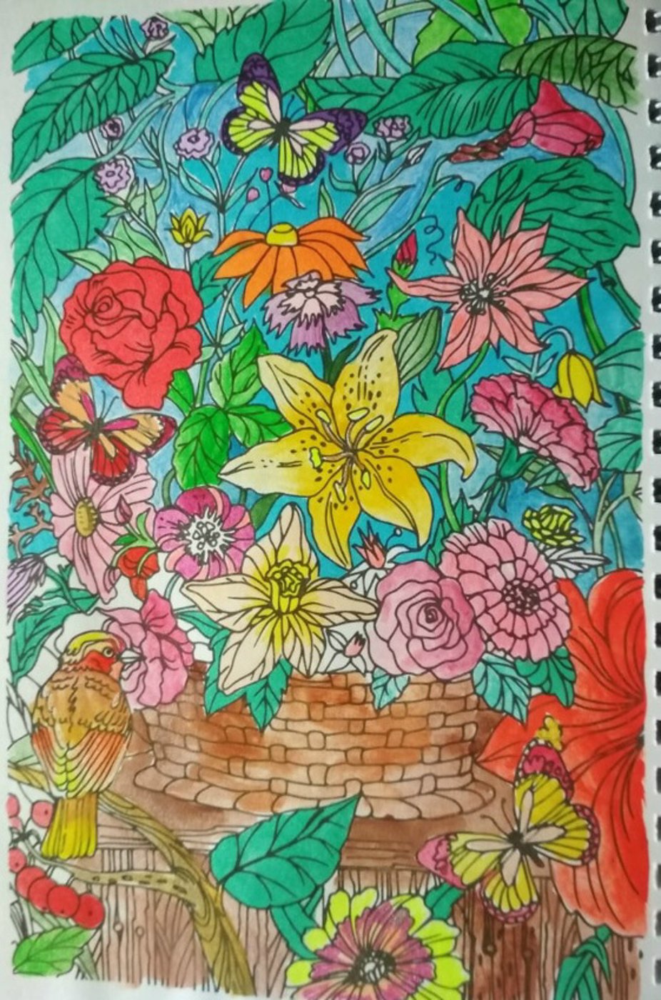 Сад цветов от VikaS