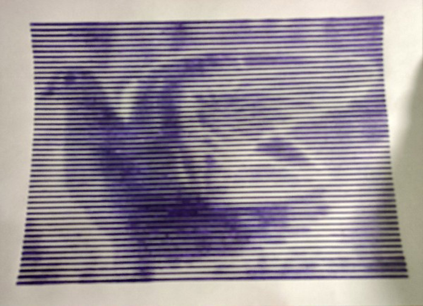 Голубь от VikaS