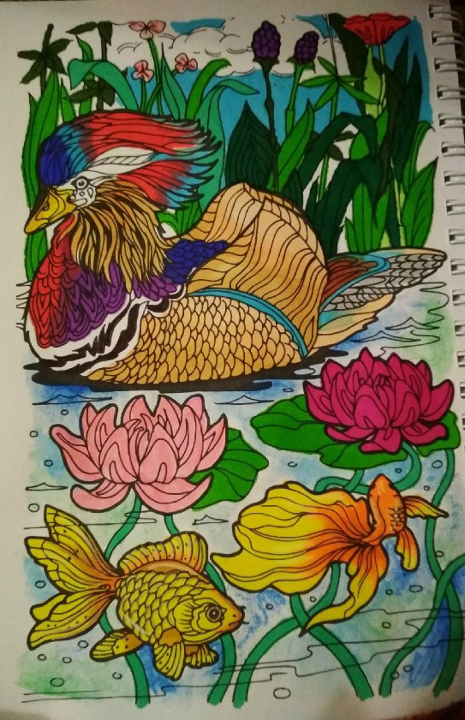 Мандарин утка от VikaS