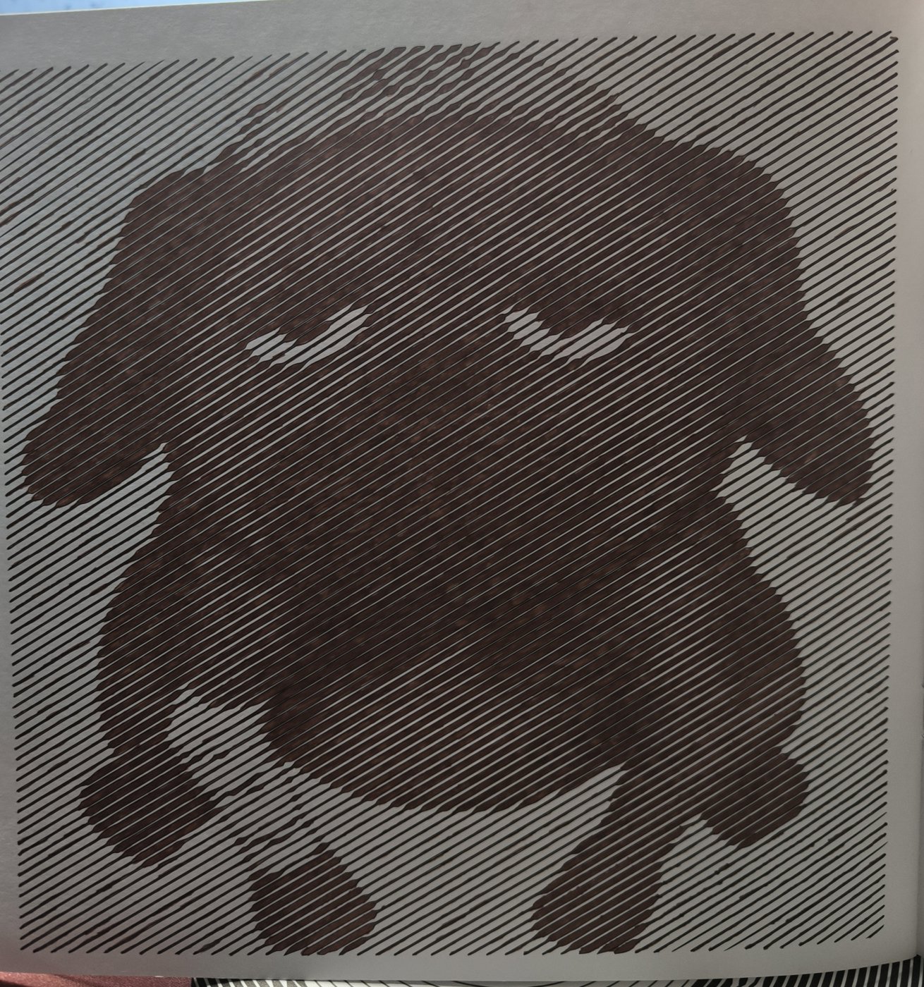 Пакуун от VikaS