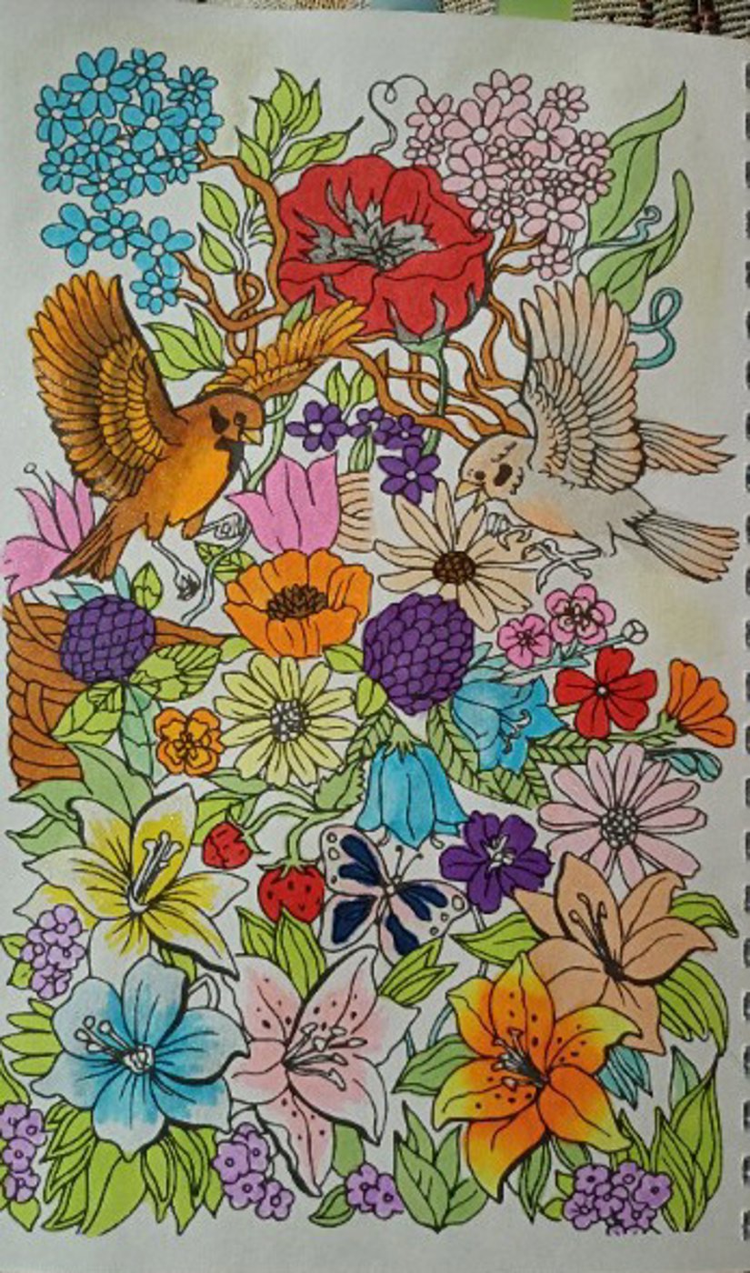 Пара птиц в саду от VikaS