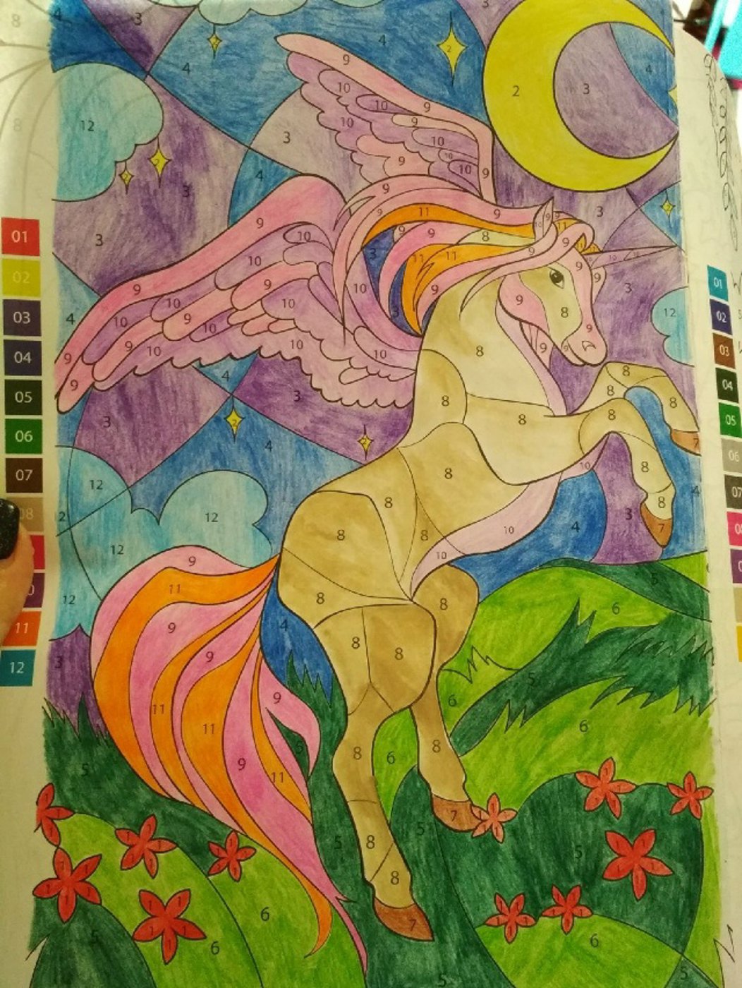 Пегас от VikaS