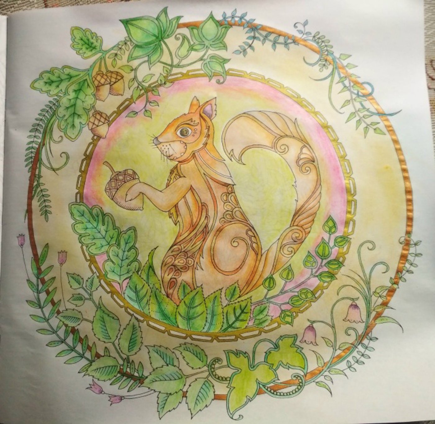 Белка от VikaS