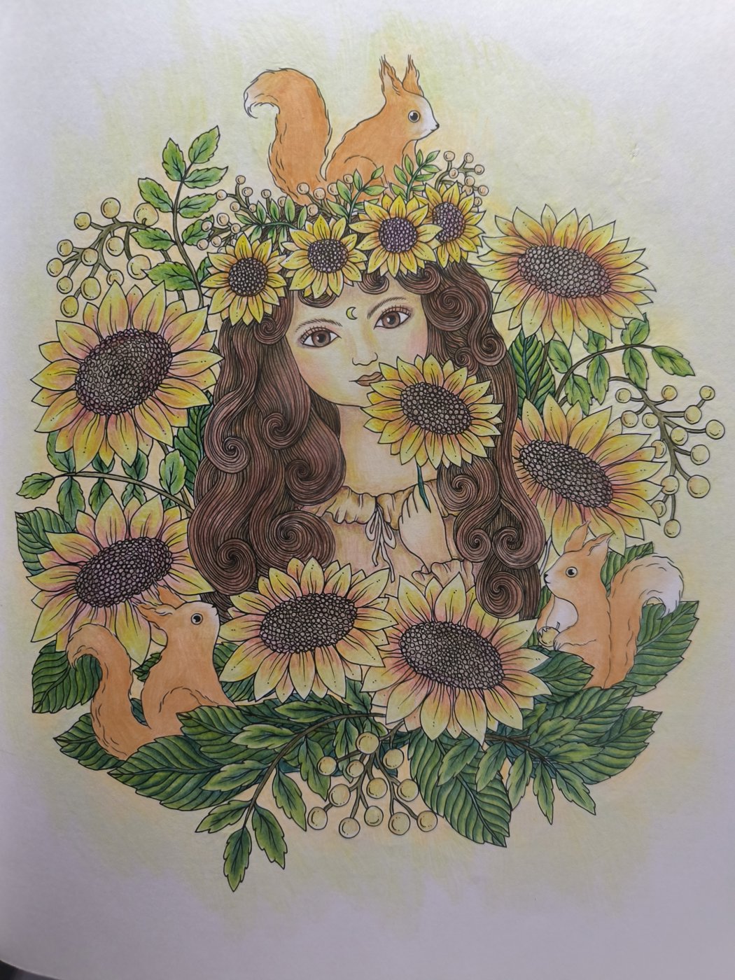 Белочка и подсолнух от VikaS