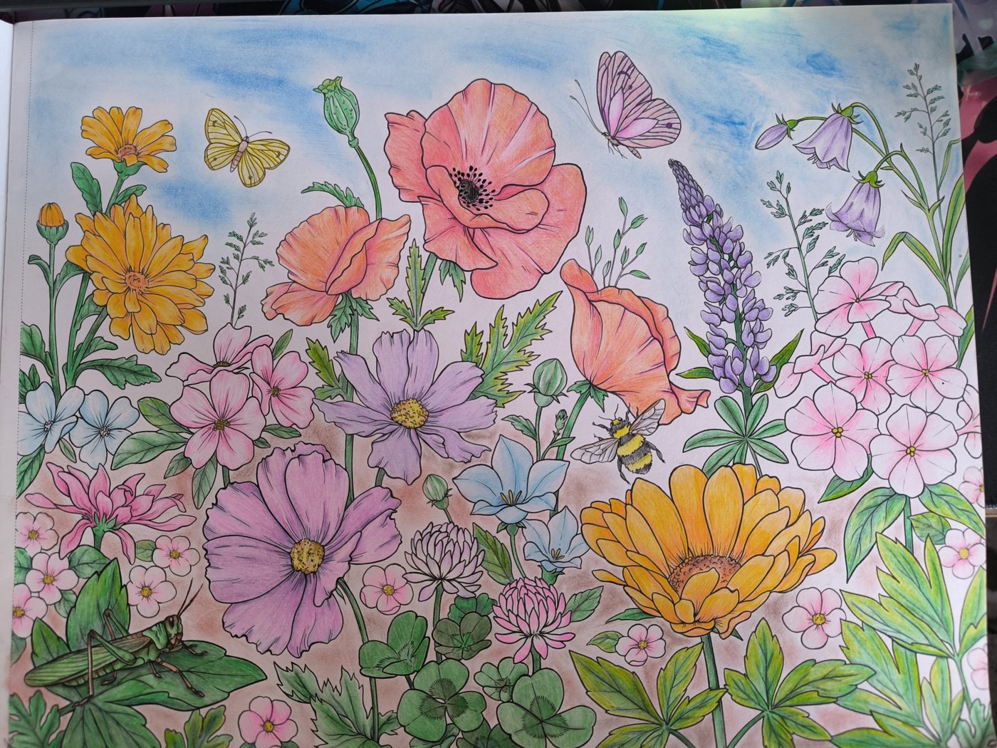 Цветы от VikaS