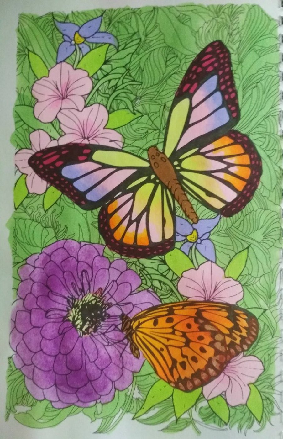 Бабочки от VikaS