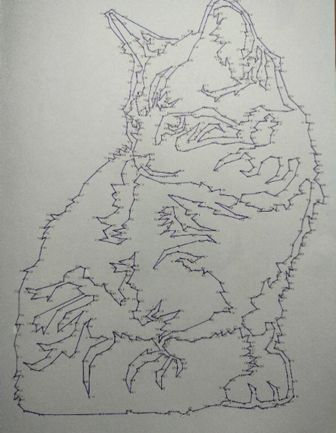 Котик от VikaS