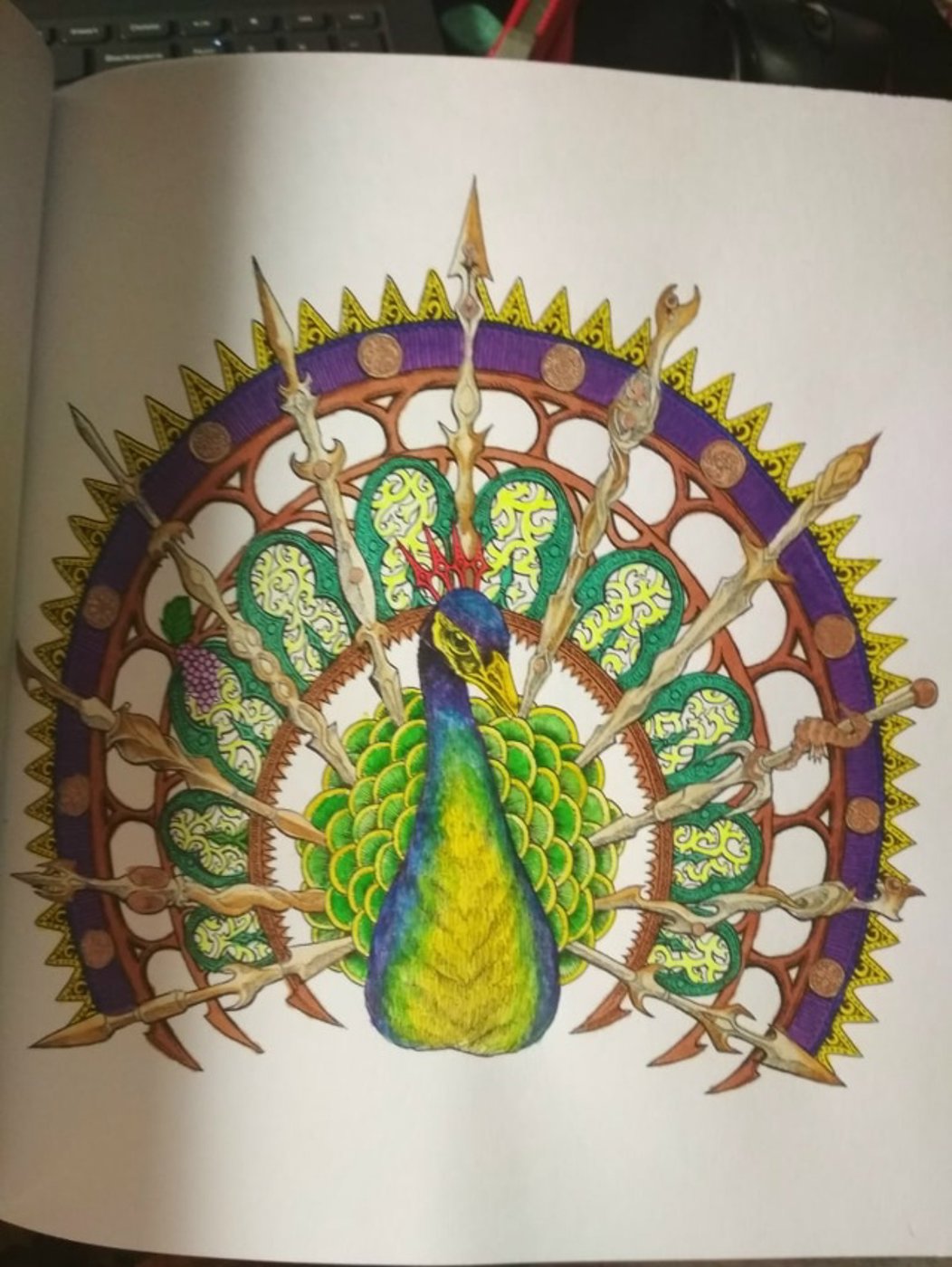 Павлин от VikaS