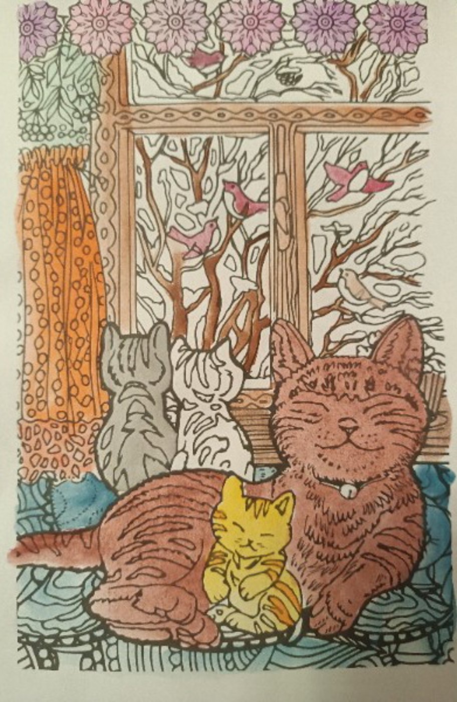 Семья котиков от VikaS