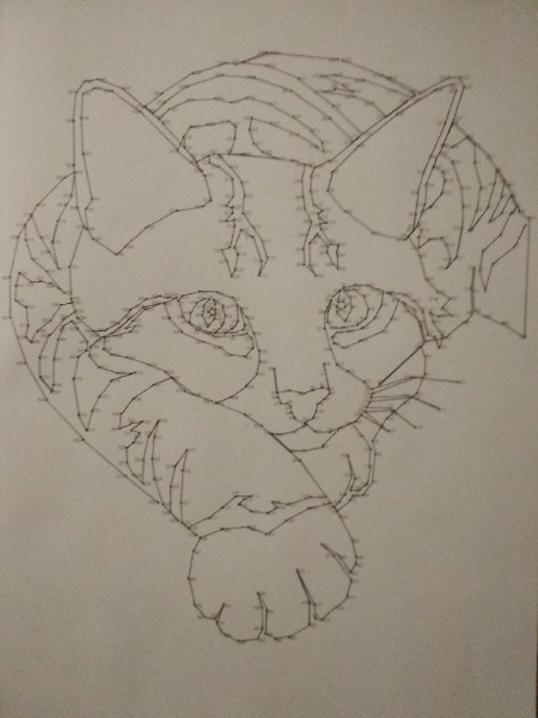 Котик от VikaS (2/2)