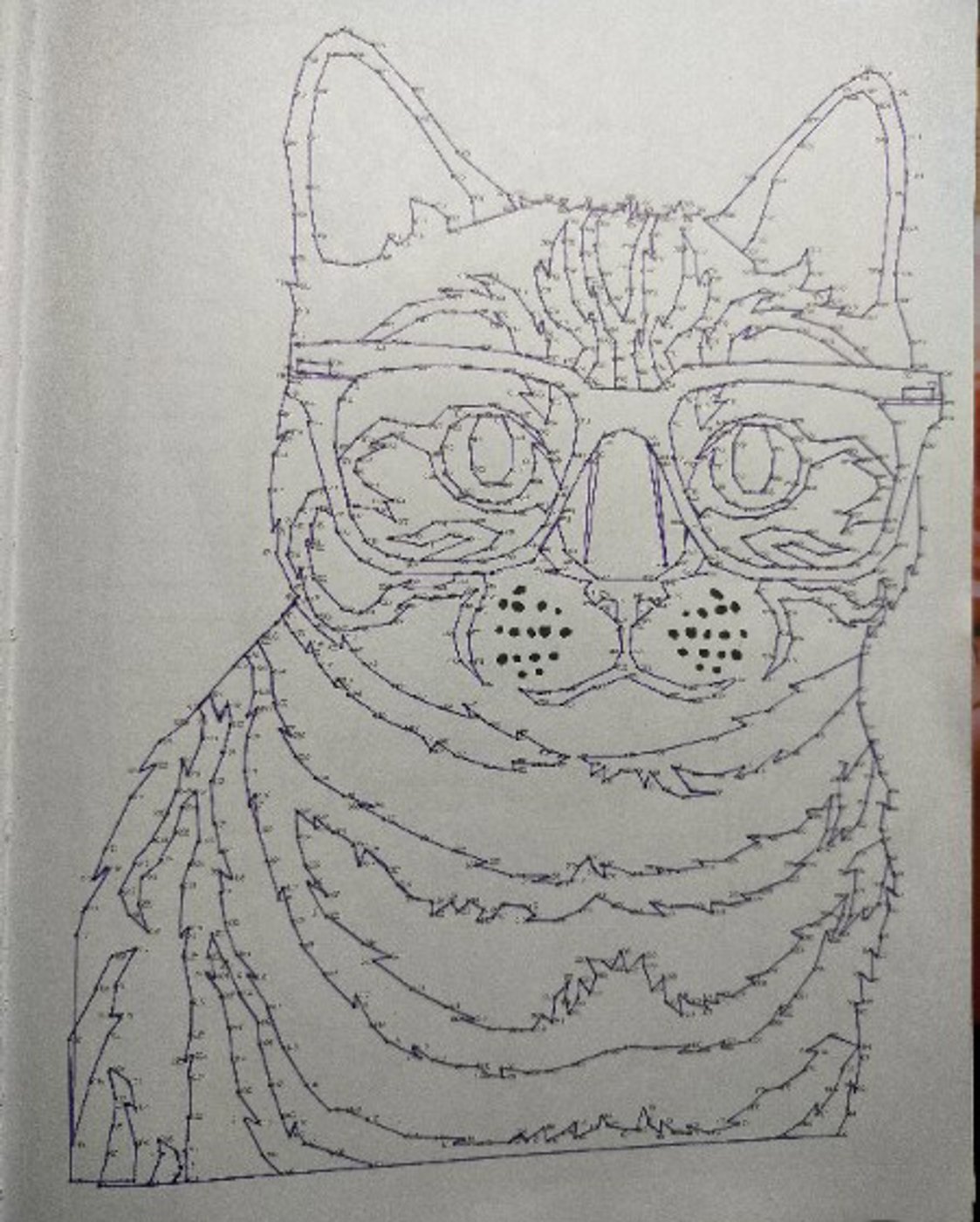 Котик очки от VikaS