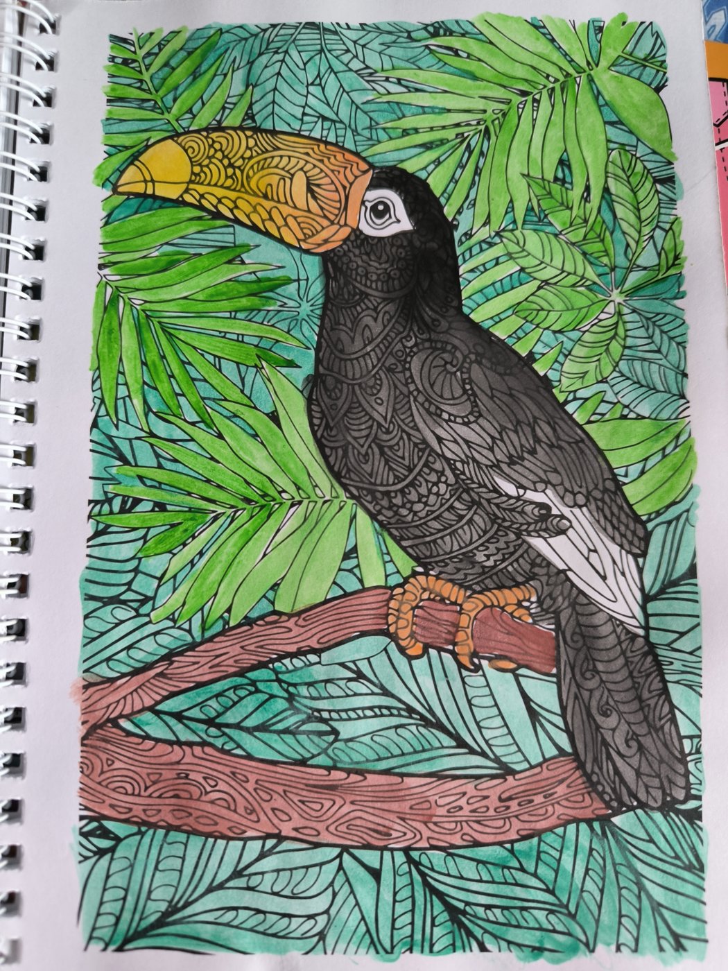 Тукан от VikaS