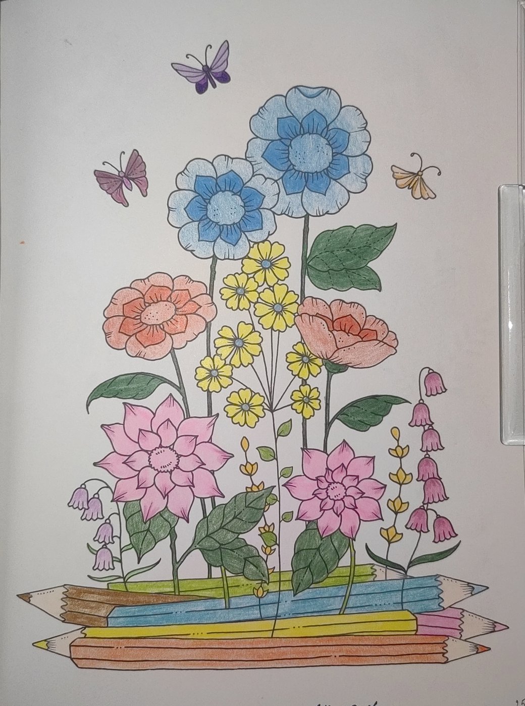 Работа от Кира