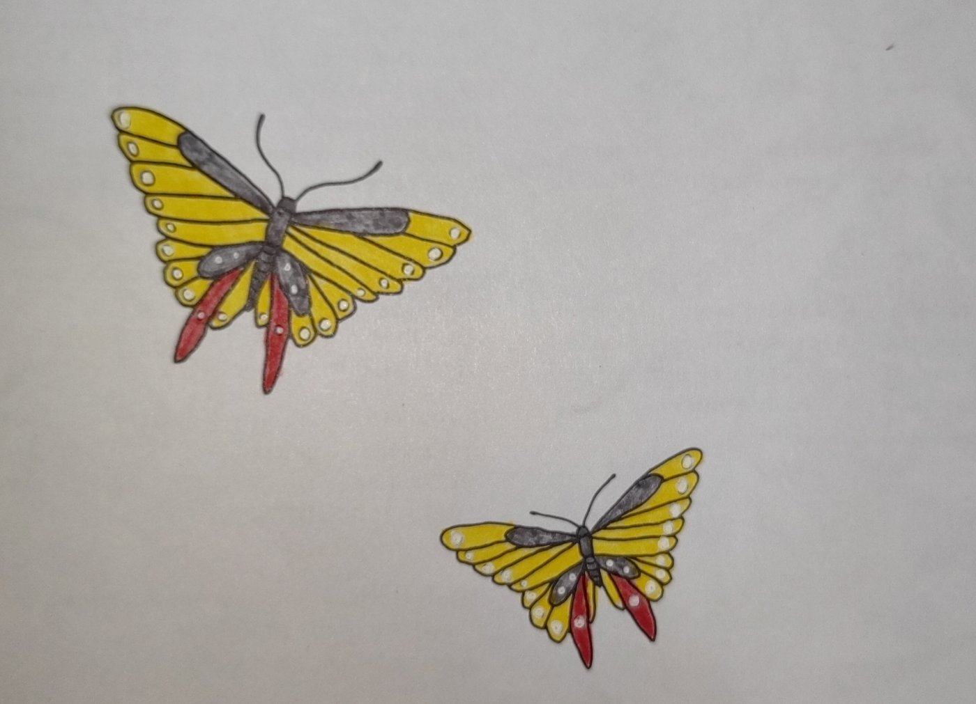 Работа от Кира