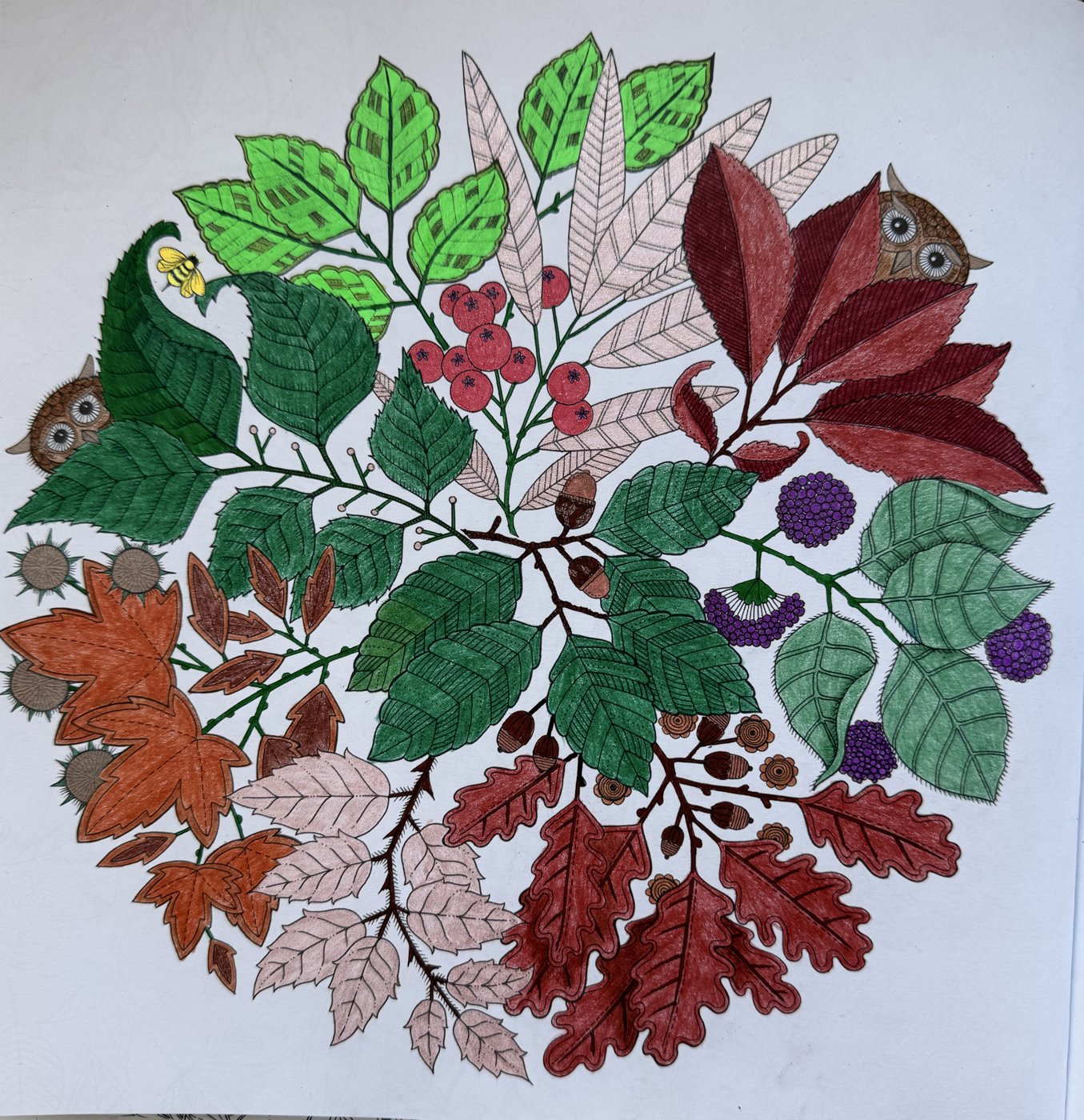 Работа от Julia_lind