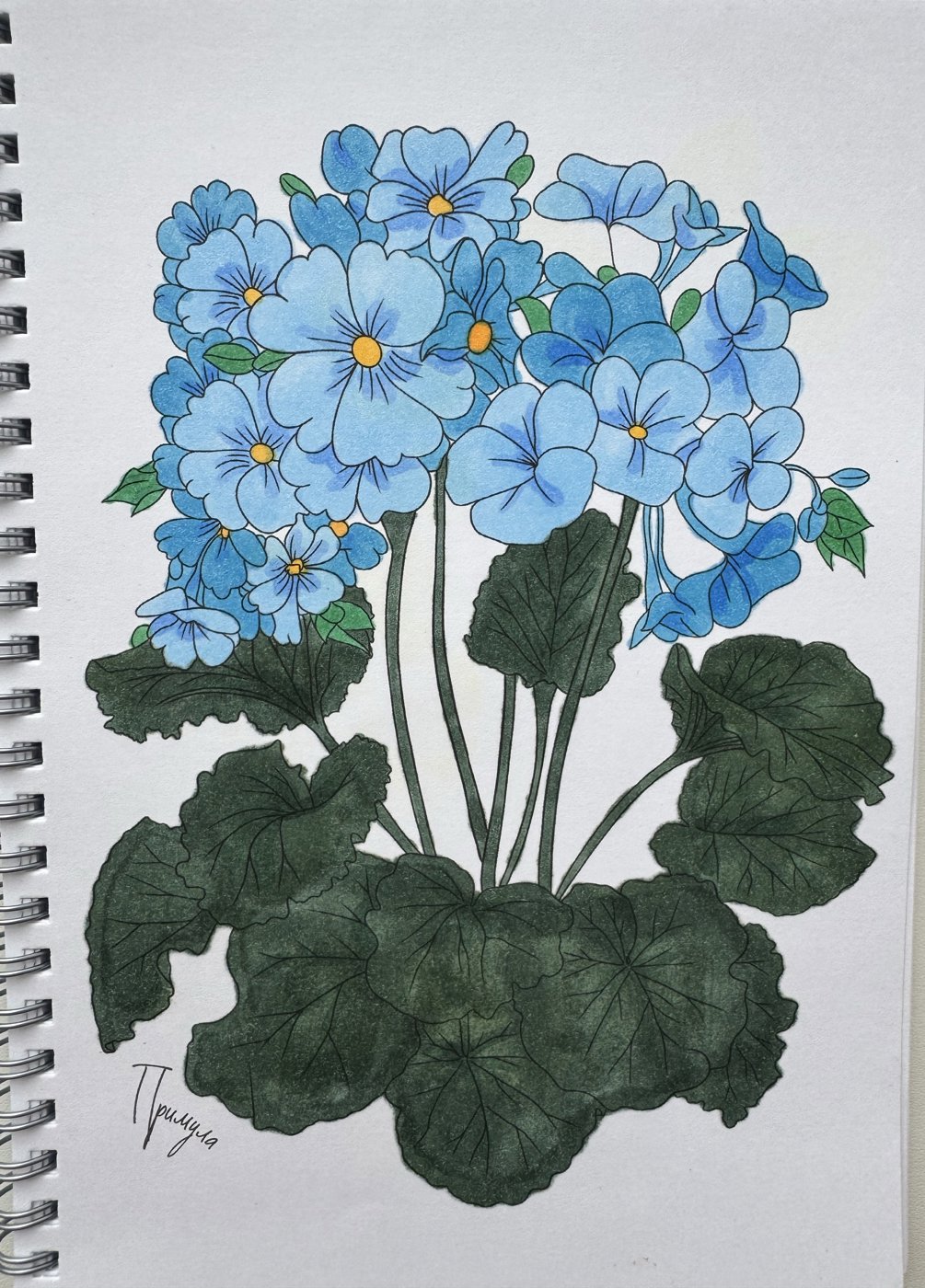 Работа от Julia_lind