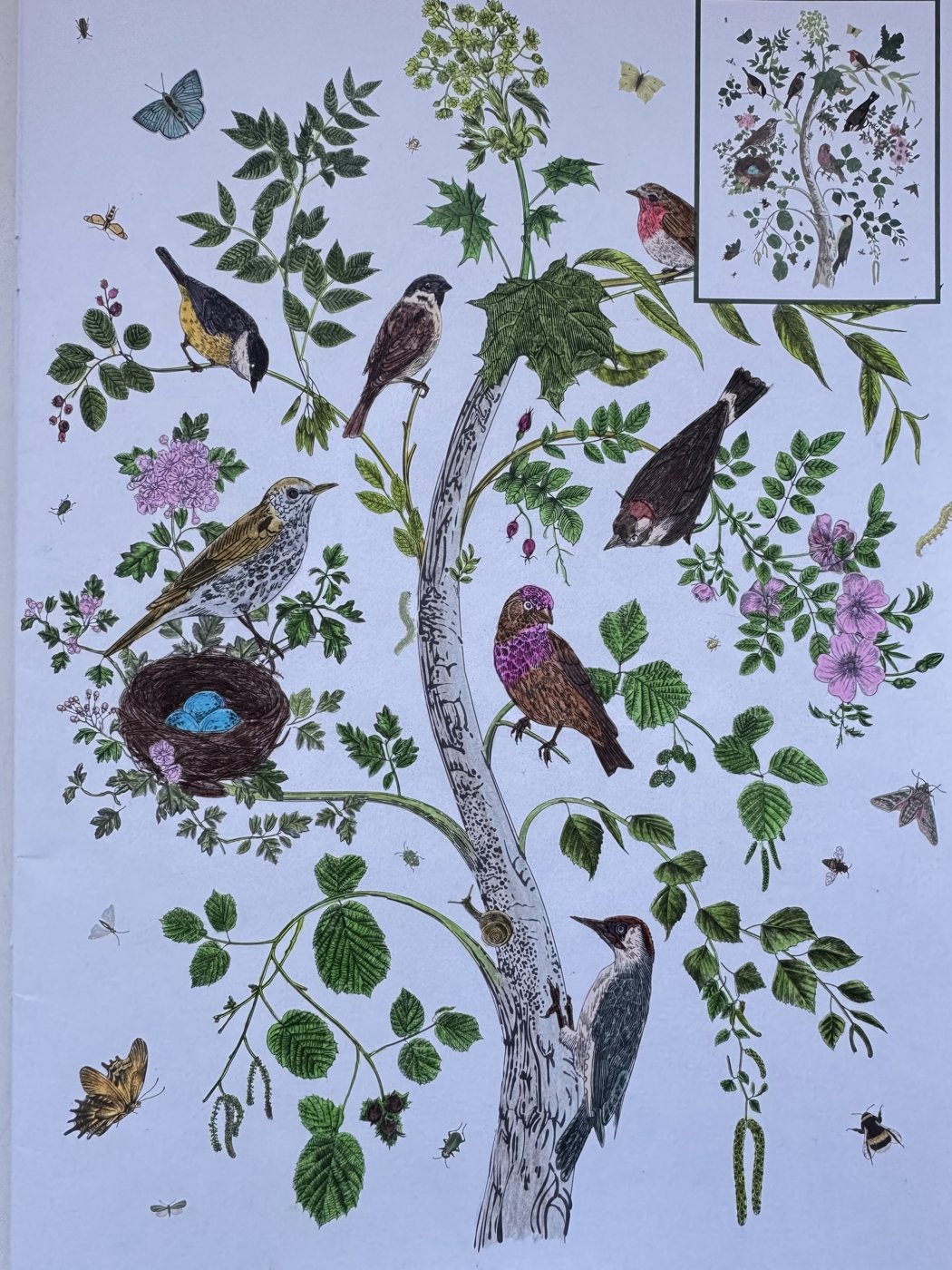 Работа от Julia_lind