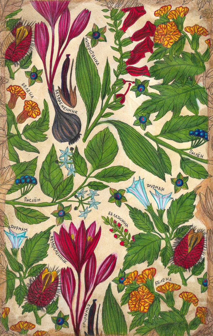 Ядовитые растения от Leliana