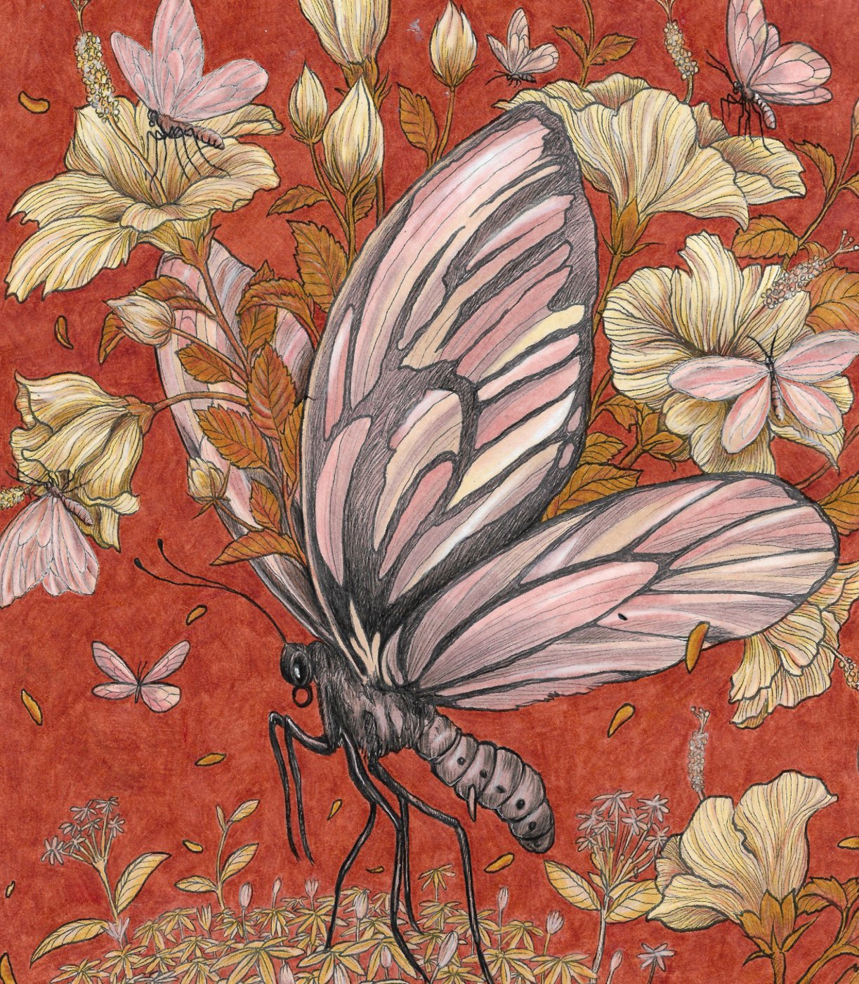 Птицекрылка от Leliana