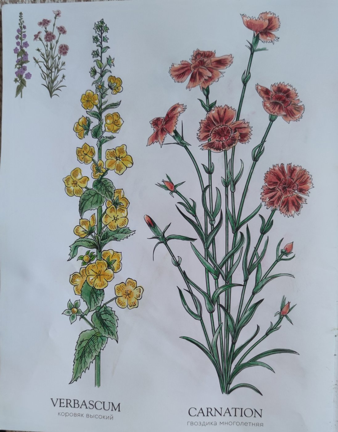 Работа от StarMaiden