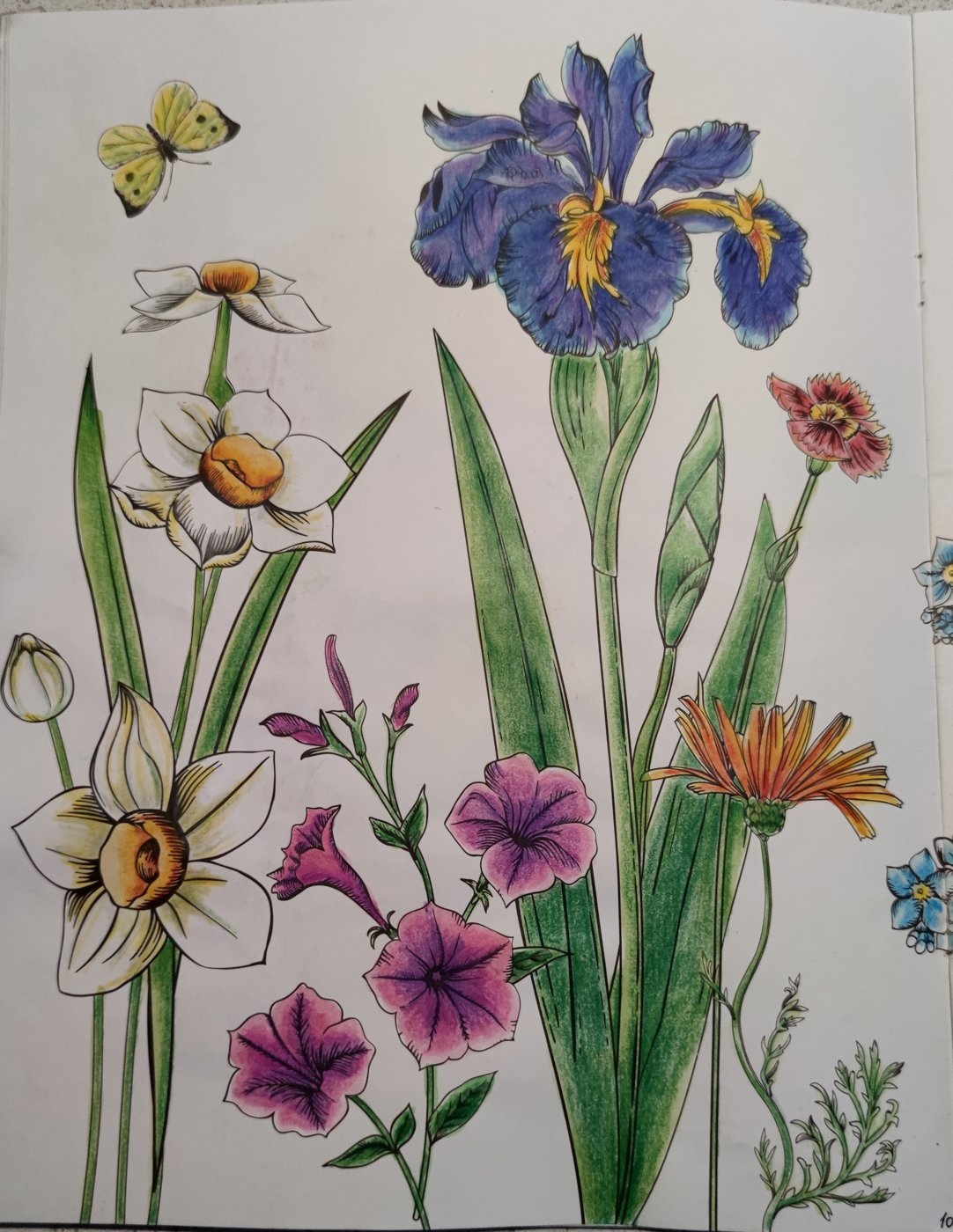 Работа от StarMaiden