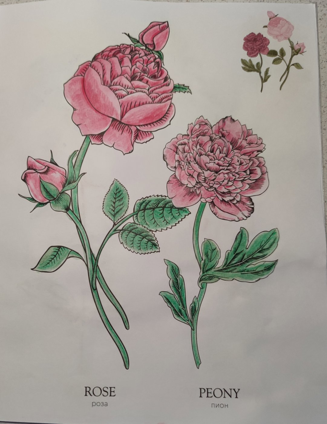 Работа от StarMaiden