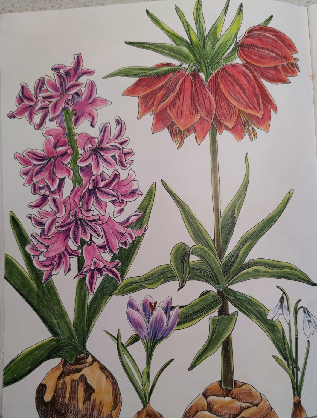 Работа от StarMaiden