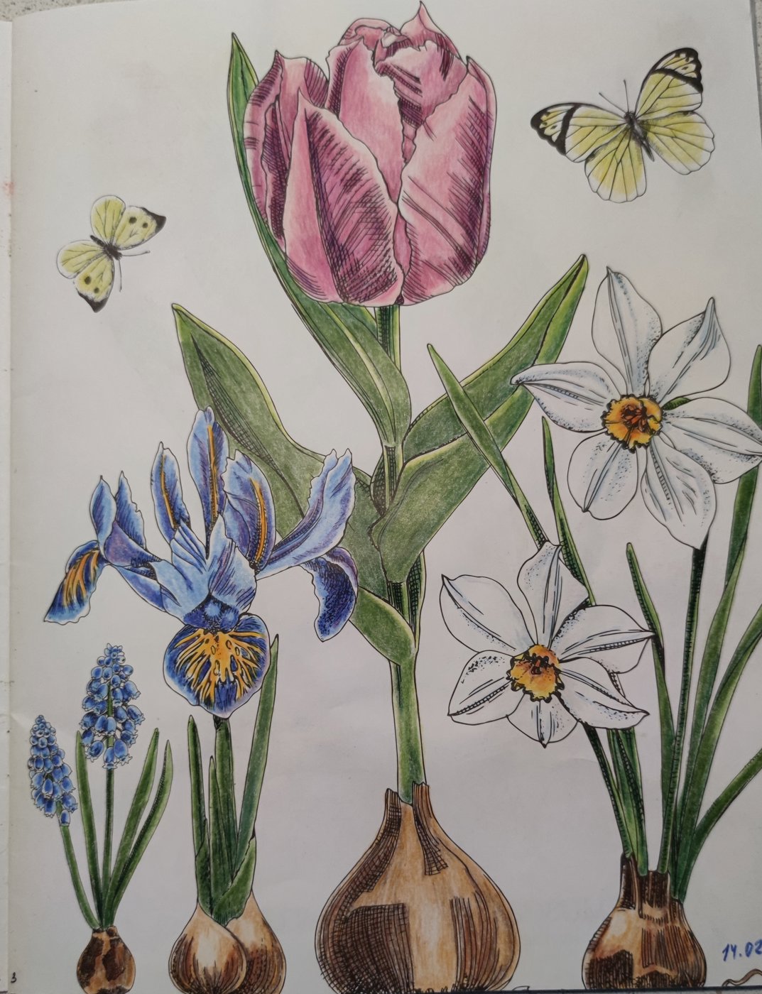 Работа от StarMaiden