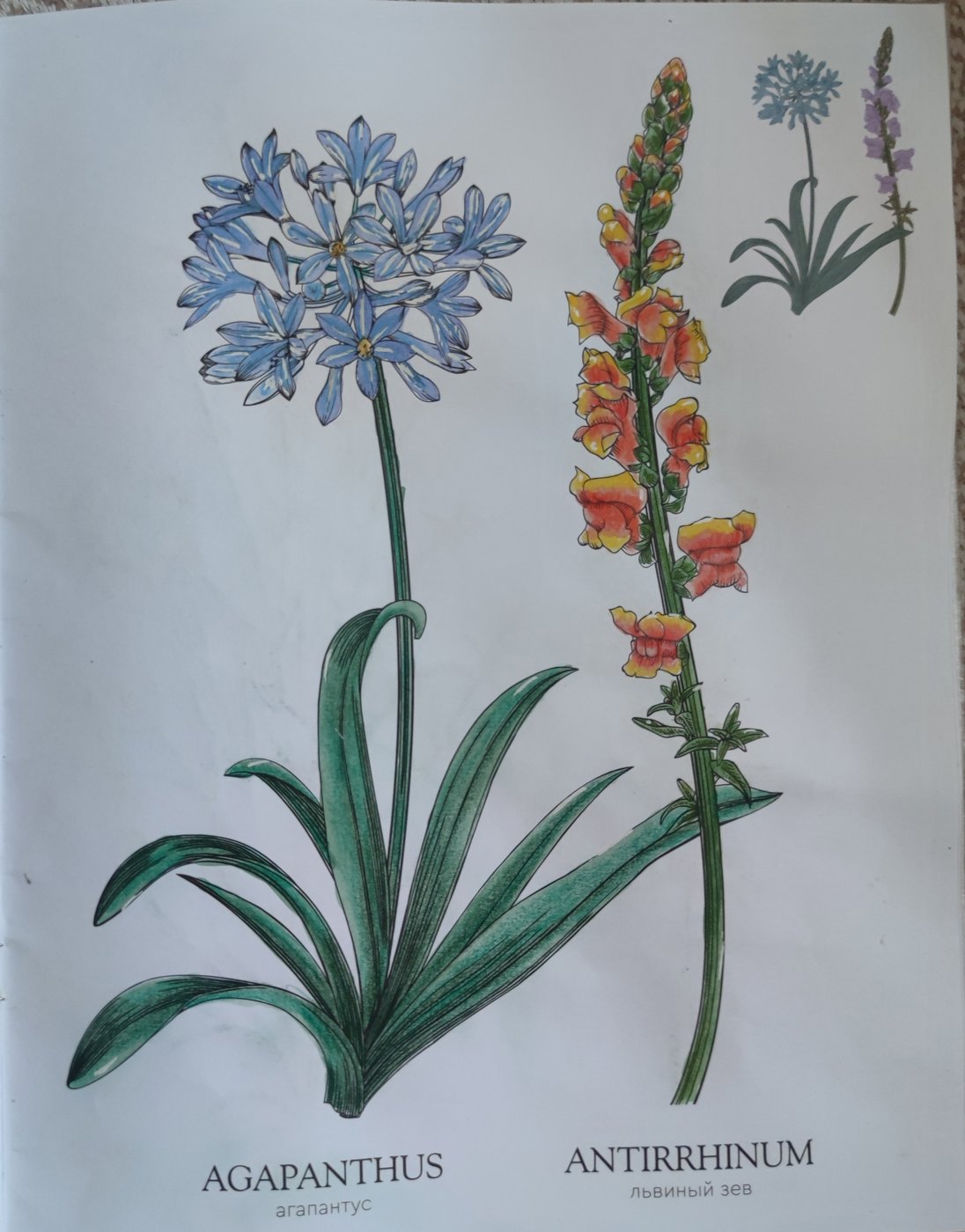 Работа от StarMaiden