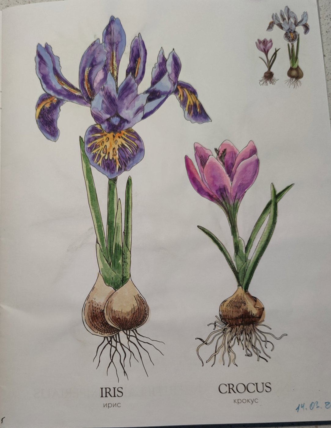 Работа от StarMaiden