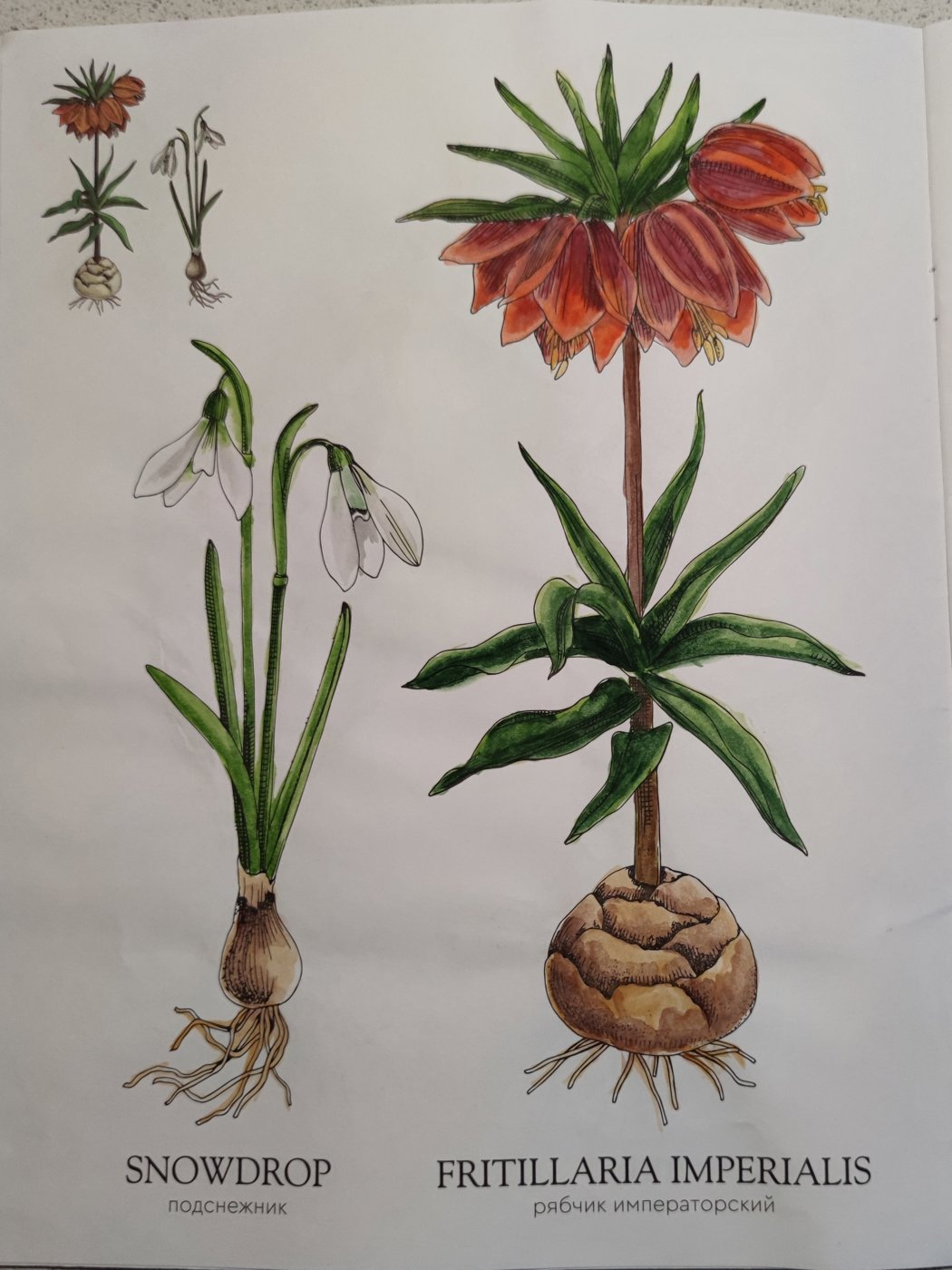 Работа от StarMaiden