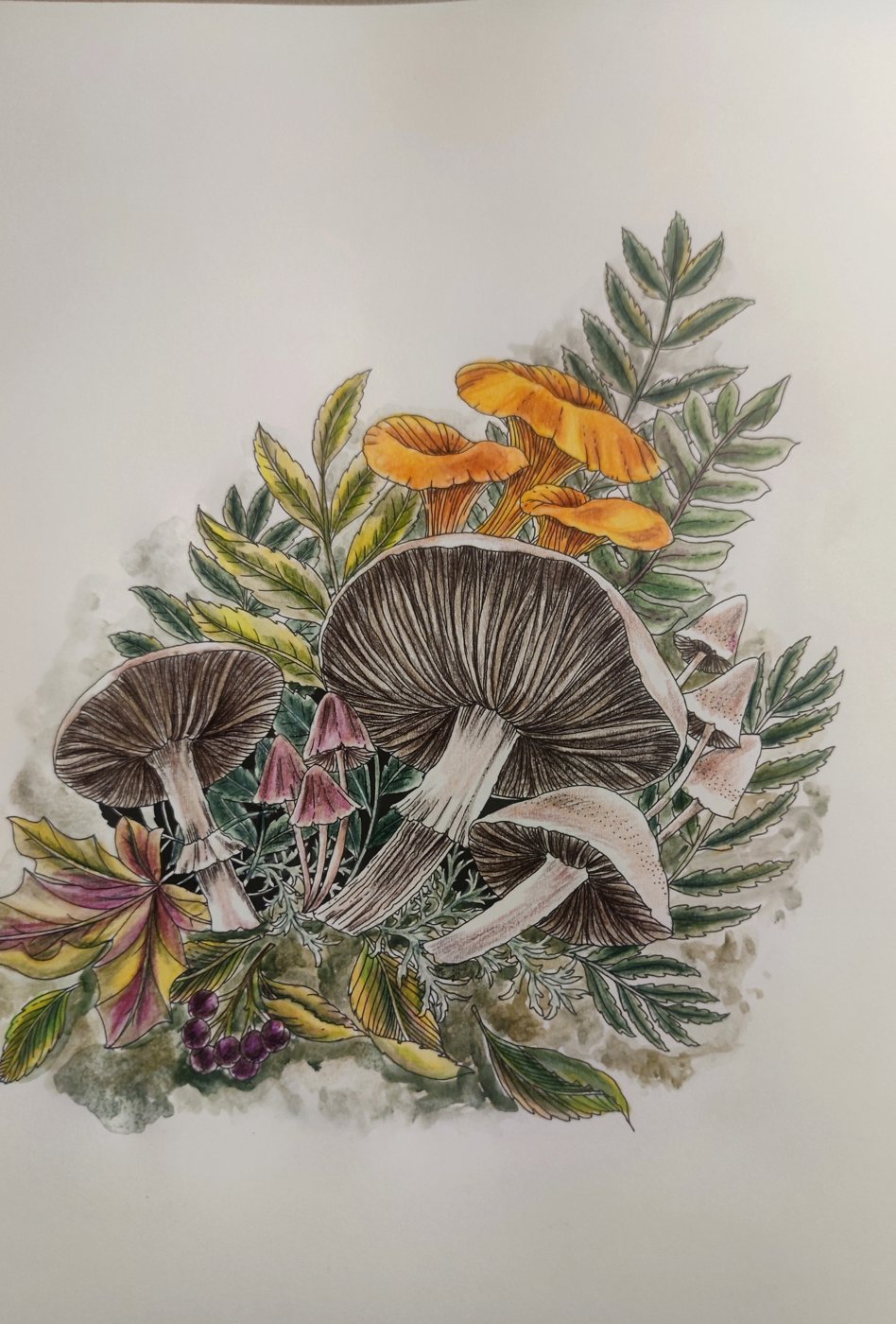 Работа от StarMaiden