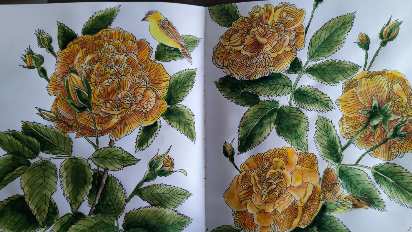 Работа от StarMaiden