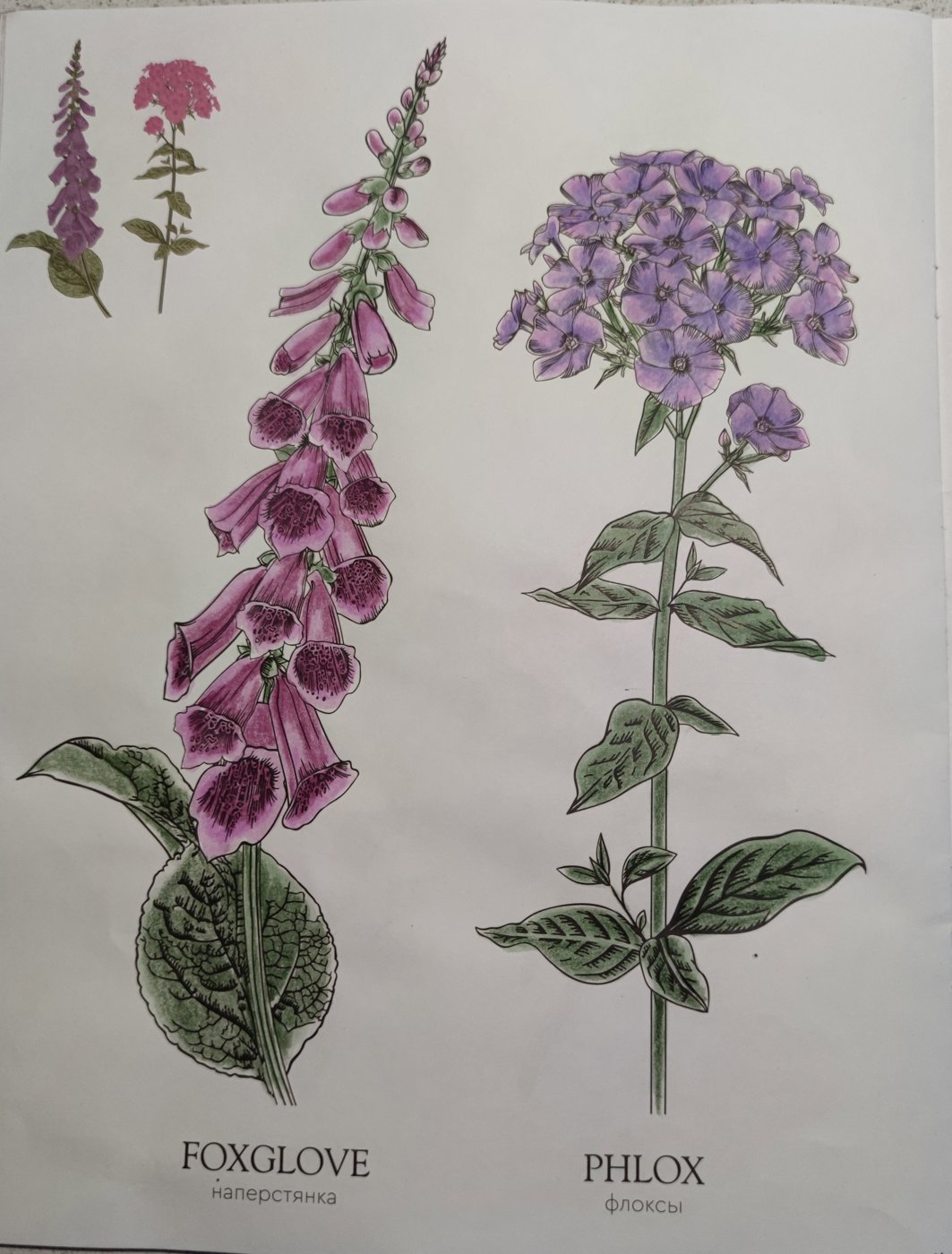 Работа от StarMaiden